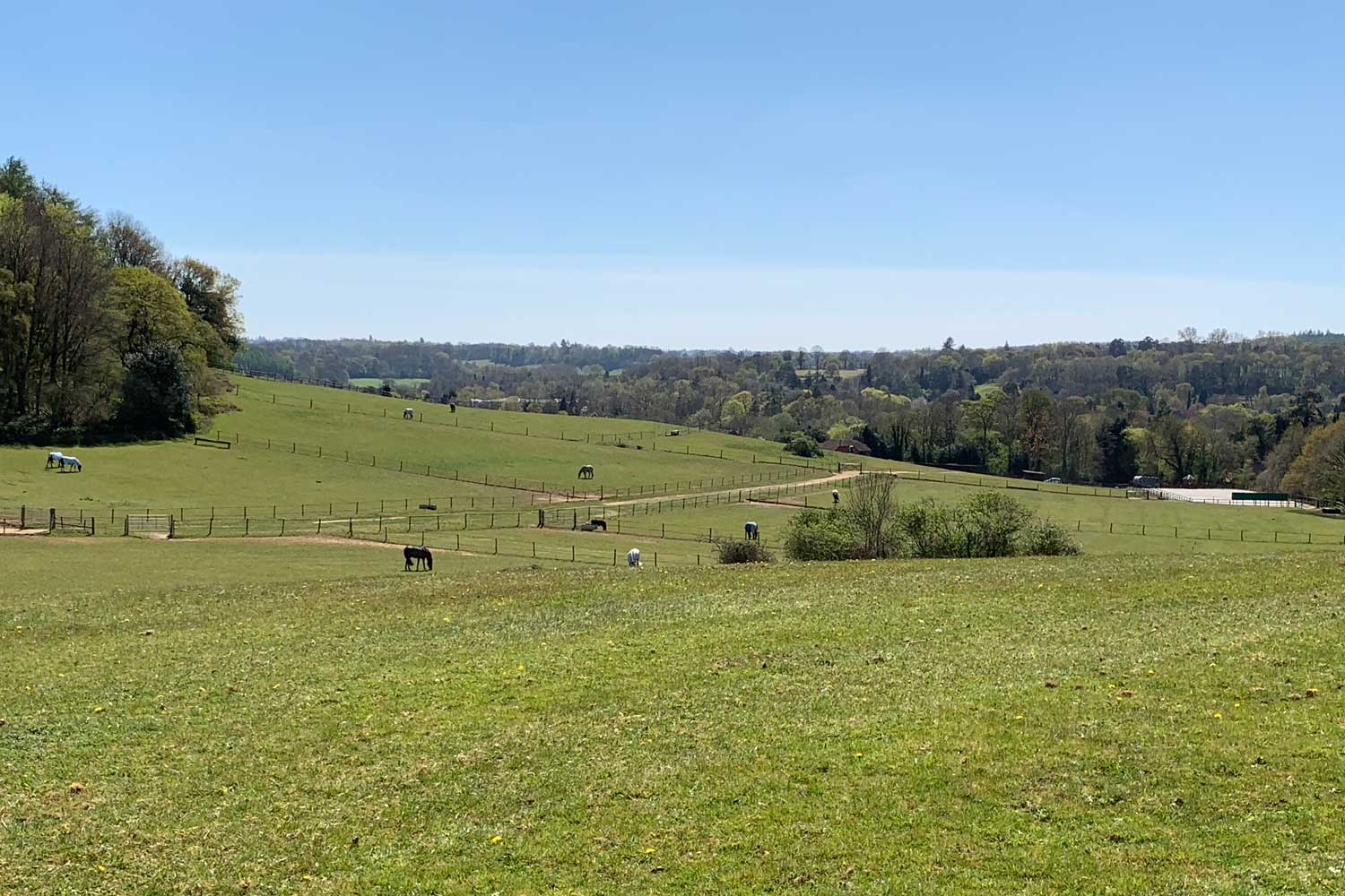 Turnout Fields